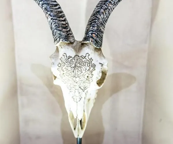 Appartement #cq - T2 - Les Antiquaires