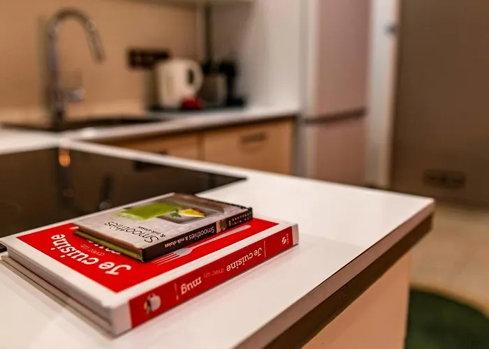 #cq - T2 - Les Antiquaires 公寓 *